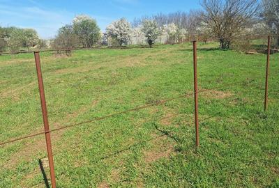 Teren Construcții intravilan de 2262 mp, în Dragomirești-Vale - 6