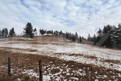 Teren de 8290 mp, în Central