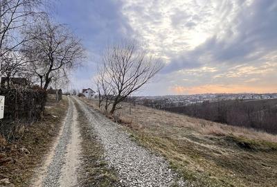 Teren de 2616 mp, în Curtești - 1