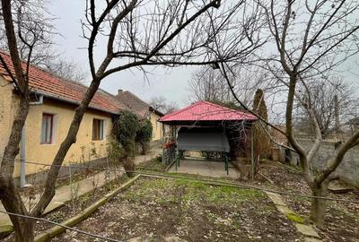 Casă cu 6 camere cu Teren 700 Mp în Central - 3
