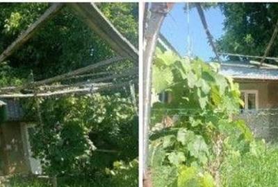 Casa si teren cota parte 3/32 sat Casaria, ID: R2724121 - 6