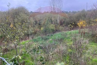 Casă cu 3 camere cu Teren 1400 Mp în Central - 1