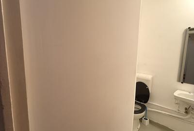 Apartament cu 3 camere semidecomandat în Iancului - 4