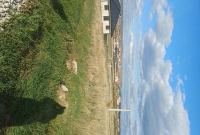 Teren de 1391 mp, în Sânmartin - 4