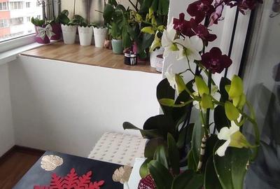 Apartament cu 2 camere decomandat în Noua - 1