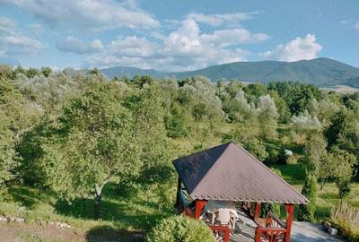 Casă în Hațeg - 2