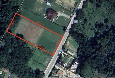 Spațiu comercial, în Crihan - 1