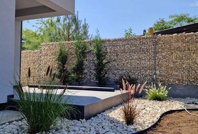 Casă cu 5 camere cu Teren 410 Mp în Corbeanca - 2