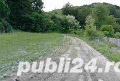 Teren de 10791 mp, în Central - 1