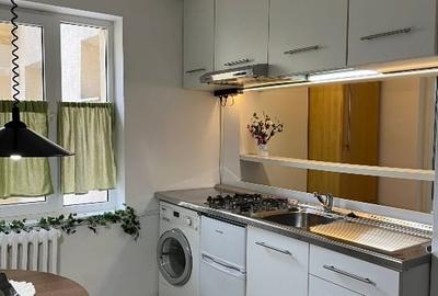 Apartament 1 camera- Spitalul Municipal Timisoara- de inchiriat - 5