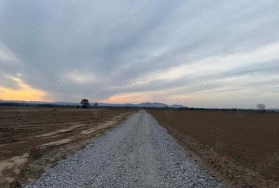 Teren de 1350 mp, în Tâmpa - 2