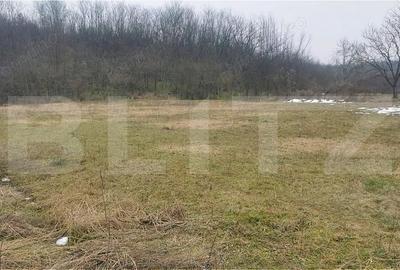 Teren de 2708 mp, în Valea - 6