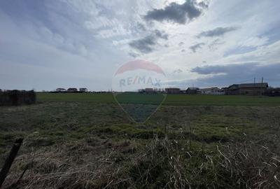 Teren Construcții intravilan de 73351 mp, în Sud - 9