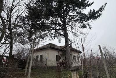 Casă cu 3 camere în Căciulătești - 9
