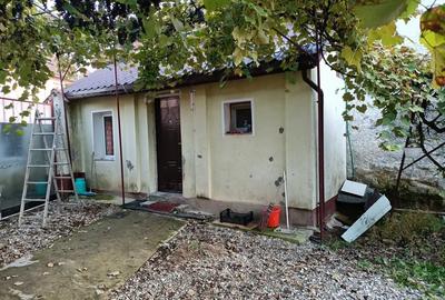 Casă cu Teren 800 Mp în Mateiaș