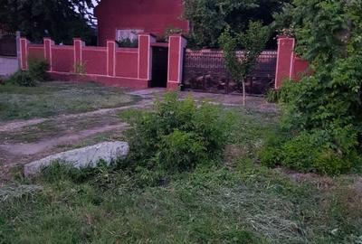 Casă cu 3 camere în Șicula - 1