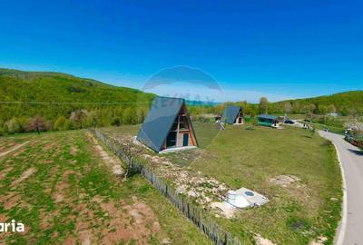 Casă cu 7 camere cu Teren 30200 Mp în Negreni - 13