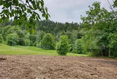 Teren de 923 mp, în Bucium - 3