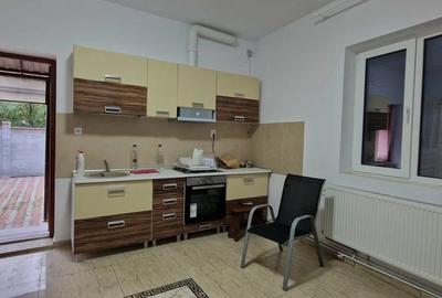 Casa zona Blascovici-Cetatii - 16