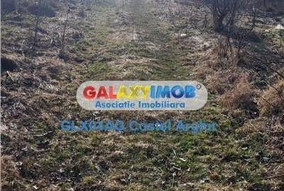 Vindem teren intra 10000 mp in Gradistea, deschidere lacul Caldarusani - 3