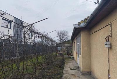 Casă cu 3 camere cu Teren 2000 Mp în Criș - 6