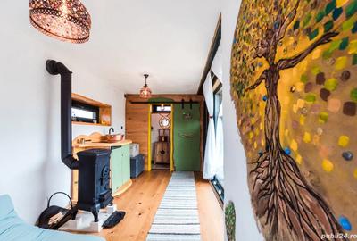 Tiny House Romanesc - 4