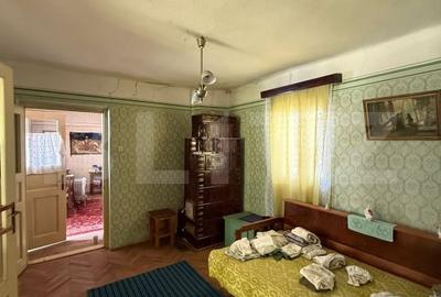 Casa batraneasca, renovabila, Comuna Danesti, Sat Vacarea, 2570 mp, front 25 ml - 3
