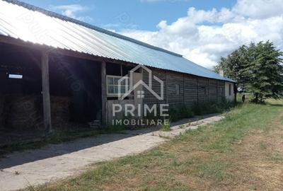 Spațiu comercial, în Central