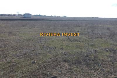 Statiunea Techirghiol- Teren intravilan  cu plata in rate Statiunea Techirghiol- Teren intravilan  cu plata in rate - 4