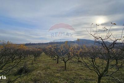Spațiu comercial, în Fălticeni - 9