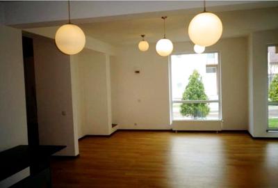 Vila individuala-Complex Aurel Persu-Berceni - 2