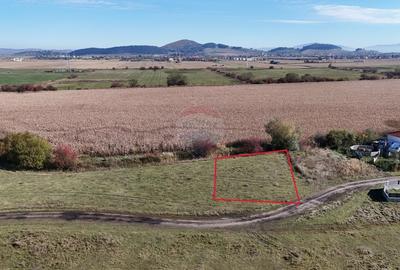 Comision 0% | Teren intravilan 600 mp | SANPETRU - 4