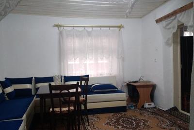 Casa + Teren 3500 mp intravilan + 11500 mp teren agricol, extravilan - 7