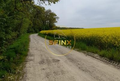 Teren Caldarusani lac/padure 38500 mp, 350 ml deschidere DJ, ape termale - 2