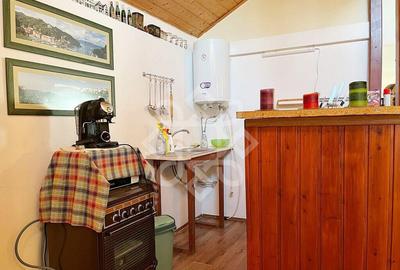 Casa cu teren 2052 mp in Saldabagiu de Munte - 18