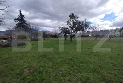 Casa 80mp,+teren 7500mp,intravilan,zona Valea Bargaului Casa 80mp,+teren 7500mp,intravilan,zona Valea Bargaului - 5