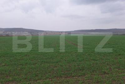 Teren de 4200 mp, în Central - 1