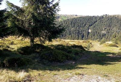 Teren în Măguri - 1