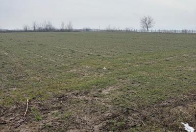 Teren Construcții extravilan de 9000 mp, în Central - 1