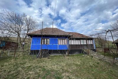 Casă cu 3 camere cu Teren 35 Mp în Ulieș - 2
