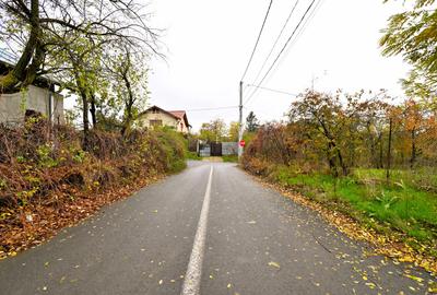 Vanzare teren de COLT 682mp Balta Lilieci Sat Lilieci Sinesti Ialomita - 16