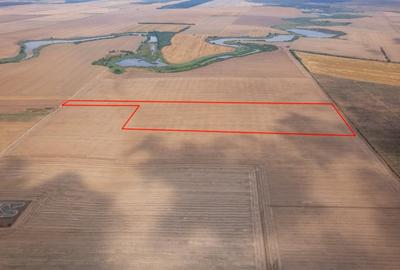 FRUMUSANI - PASAREA, TEREN 14420 MP, FRONT 40 M! - 5