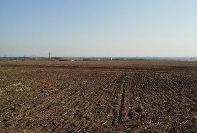 Teren pentru Parc Logistic, hale - Ovidiu - 3