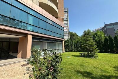 Spațiu comercial, 617 mp în Baba Novac
