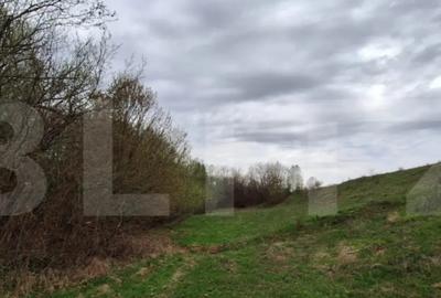 Teren de 12500 mp, în Central - 5