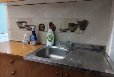 Inchiriez apartament 1 camera, zona Balcescu - 5