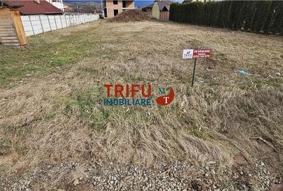 Spațiu comercial, în Micești - 5