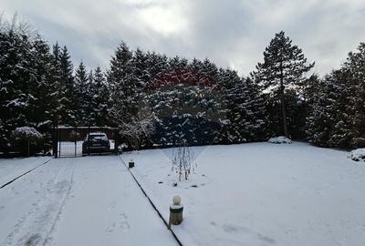 Vilă de lux cu 4 camere de vânzare în Câmpulung Moldovenesc, Suceava - 53