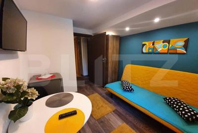 Vila deosebita cu 6 camere, 530mp, Statiunea Sovata - 11