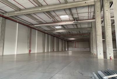 Spatiu de depozitare si productie centru logistic  Chitila-Buftea - 6